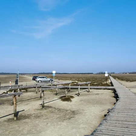 Vakantiehuis Frisia St- Peter-ording - Dns08034-gyd *